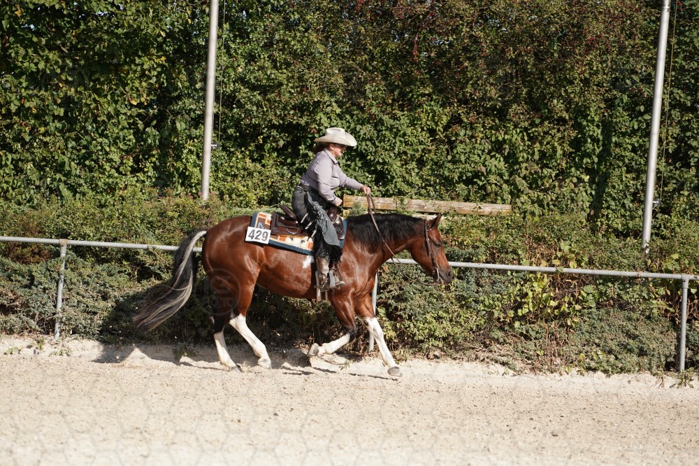 s_A_908305.JPG